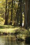 <img100*0:stuff/z/73640/Frio%2520River%2520reference/i1257807984_27.jpg>