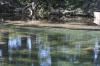 <img100*0:stuff/z/73640/Frio%2520River%2520reference/i1257807984_28.jpg>