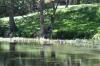 <img100*0:stuff/z/73640/Frio%2520River%2520reference/i1257807984_29.jpg>