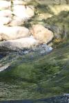 <img100*0:stuff/z/73640/Frio%2520River%2520reference/i1257807984_30.jpg>