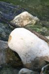 <img100*0:stuff/z/73640/Frio%2520River%2520reference/i1257807984_31.jpg>