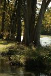 <img100*0:stuff/z/73640/Frio%2520River%2520reference/i1257807984_33.jpg>