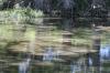 <img100*0:stuff/z/73640/Frio%2520River%2520reference/i1257807984_34.jpg>