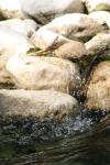 <img100*0:stuff/z/73640/Frio%2520River%2520reference/i1257807984_36.jpg>