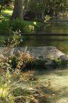 <img100*0:stuff/z/73640/Frio%2520River%2520reference/i1257807984_38.jpg>