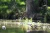 <img100*0:stuff/z/73640/Frio%2520River%2520reference/i1257807984_41.jpg>