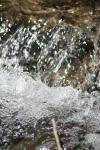 <img100*0:stuff/z/73640/Frio%2520River%2520reference/i1258058756_10.jpg>