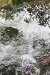 <img100*0:stuff/z/73640/Frio%2520River%2520reference/i1258058756_11.jpg>