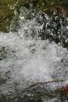 <img100*0:stuff/z/73640/Frio%2520River%2520reference/i1258058756_14.jpg>