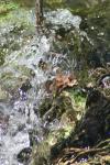 <img100*0:stuff/z/73640/Frio%2520River%2520reference/i1258058756_15.jpg>