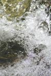<img100*0:stuff/z/73640/Frio%2520River%2520reference/i1258058756_16.jpg>