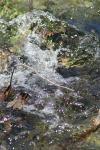 <img100*0:stuff/z/73640/Frio%2520River%2520reference/i1258058756_2.jpg>