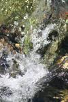 <img100*0:stuff/z/73640/Frio%2520River%2520reference/i1258058756_3.jpg>