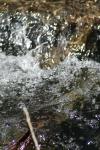 <img100*0:stuff/z/73640/Frio%2520River%2520reference/i1258058756_7.jpg>