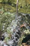 <img100*0:stuff/z/73640/Frio%2520River%2520reference/i1258058756_9.jpg>