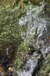 <img100*0:stuff/z/73640/Frio%2520River%2520reference/i1258058757_18.jpg>