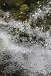 <img100*0:stuff/z/73640/Frio%2520River%2520reference/i1258058757_19.jpg>