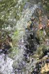 <img100*0:stuff/z/73640/Frio%2520River%2520reference/i1258058757_21.jpg>
