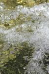 <img100*0:stuff/z/73640/Frio%2520River%2520reference/i1258084882_1.jpg>