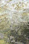 <img100*0:stuff/z/73640/Frio%2520River%2520reference/i1258084882_2.jpg>