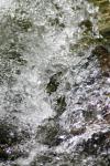 <img100*0:stuff/z/73640/Frio%2520River%2520reference/i1258084882_4.jpg>