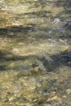 <img100*0:stuff/z/73640/Frio%2520River%2520reference/i1258084882_6.jpg>