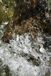 <img100*0:stuff/z/73640/Frio%2520River%2520reference/i1258084882_7.jpg>