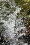 <img100*0:stuff/z/73640/Frio%2520River%2520reference/i1258084882_8.jpg>