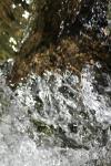 <img100*0:stuff/z/73640/Frio%2520River%2520reference/i1258084883_11.jpg>