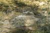 <img100*0:stuff/z/73640/Frio%2520River%2520reference/i1258084883_13.jpg>