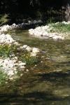 <img100*0:stuff/z/73640/Frio%2520River%2520reference/i1258084883_14.jpg>
