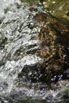 <img100*0:stuff/z/73640/Frio%2520River%2520reference/i1258084883_15.jpg>