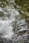 <img100*0:stuff/z/73640/Frio%2520River%2520reference/i1258084883_16.jpg>