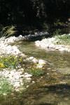 <img100*0:stuff/z/73640/Frio%2520River%2520reference/i1258084883_17.jpg>
