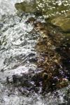 <img100*0:stuff/z/73640/Frio%2520River%2520reference/i1258084883_18.jpg>