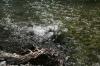 <img100*0:stuff/z/73640/Frio%2520River%2520reference/i1258084883_19.jpg>