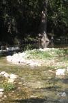 <img100*0:stuff/z/73640/Frio%2520River%2520reference/i1258084883_20.jpg>