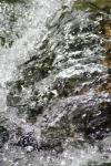 <img100*0:stuff/z/73640/Frio%2520River%2520reference/i1258084883_21.jpg>