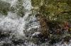 <img100*0:stuff/z/73640/Frio%2520River%2520reference/i1258084883_23.jpg>