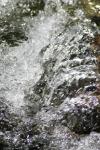 <img100*0:stuff/z/73640/Frio%2520River%2520reference/i1258084883_24.jpg>