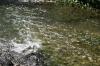 <img100*0:stuff/z/73640/Frio%2520River%2520reference/i1258084883_25.jpg>
