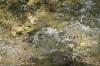 <img100*0:stuff/z/73640/Frio%2520River%2520reference/i1258511912_1.jpg>