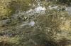 <img100*0:stuff/z/73640/Frio%2520River%2520reference/i1258511912_2.jpg>