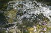 <img100*0:stuff/z/73640/Frio%2520River%2520reference/i1258511912_3.jpg>