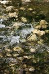<img100*0:stuff/z/73640/Frio%2520River%2520reference/i1258511912_5.jpg>