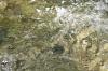 <img100*0:stuff/z/73640/Frio%2520River%2520reference/i1258511912_6.jpg>