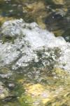 <img100*0:stuff/z/73640/Frio%2520River%2520reference/i1258511912_7.jpg>