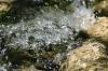 <img100*0:stuff/z/73640/Frio%2520River%2520reference/i1258511912_8.jpg>