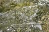<img100*0:stuff/z/73640/Frio%2520River%2520reference/i1258511913_10.jpg>