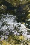 <img100*0:stuff/z/73640/Frio%2520River%2520reference/i1258511913_11.jpg>